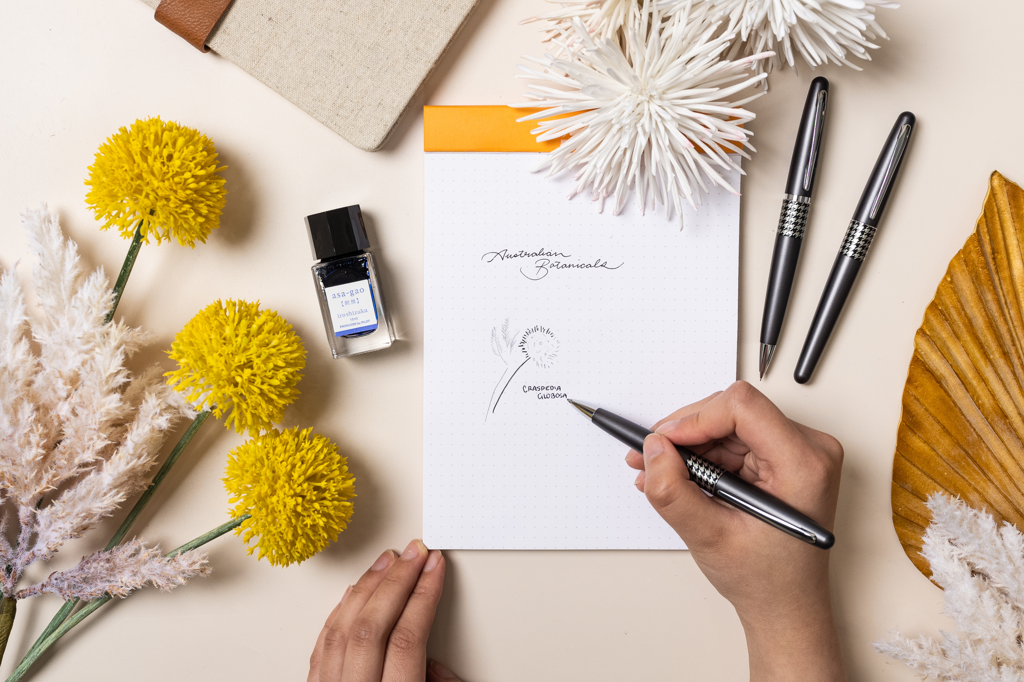 Woman using Pilot Retro Pop MR3 fountain pen, iroshizuku ink to label botanical drawings.